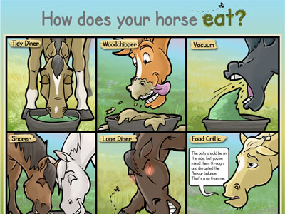 How does your horse eat?