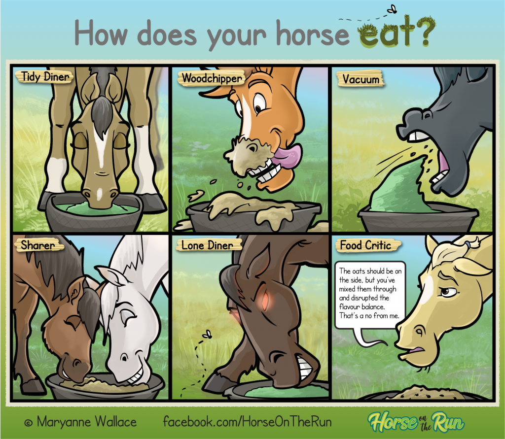 How does your horse eat? - Horse on the Run comics